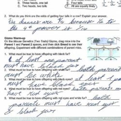 Student exploration inheritance answer key