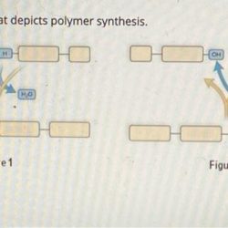 Choose the figure that depicts polymer synthesis