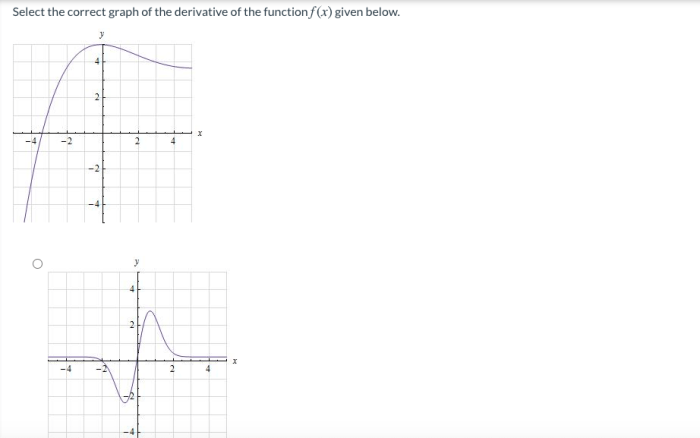 Select all the correct responses derivative classifiers must