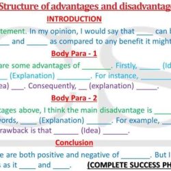 Advantages disadvantages essay